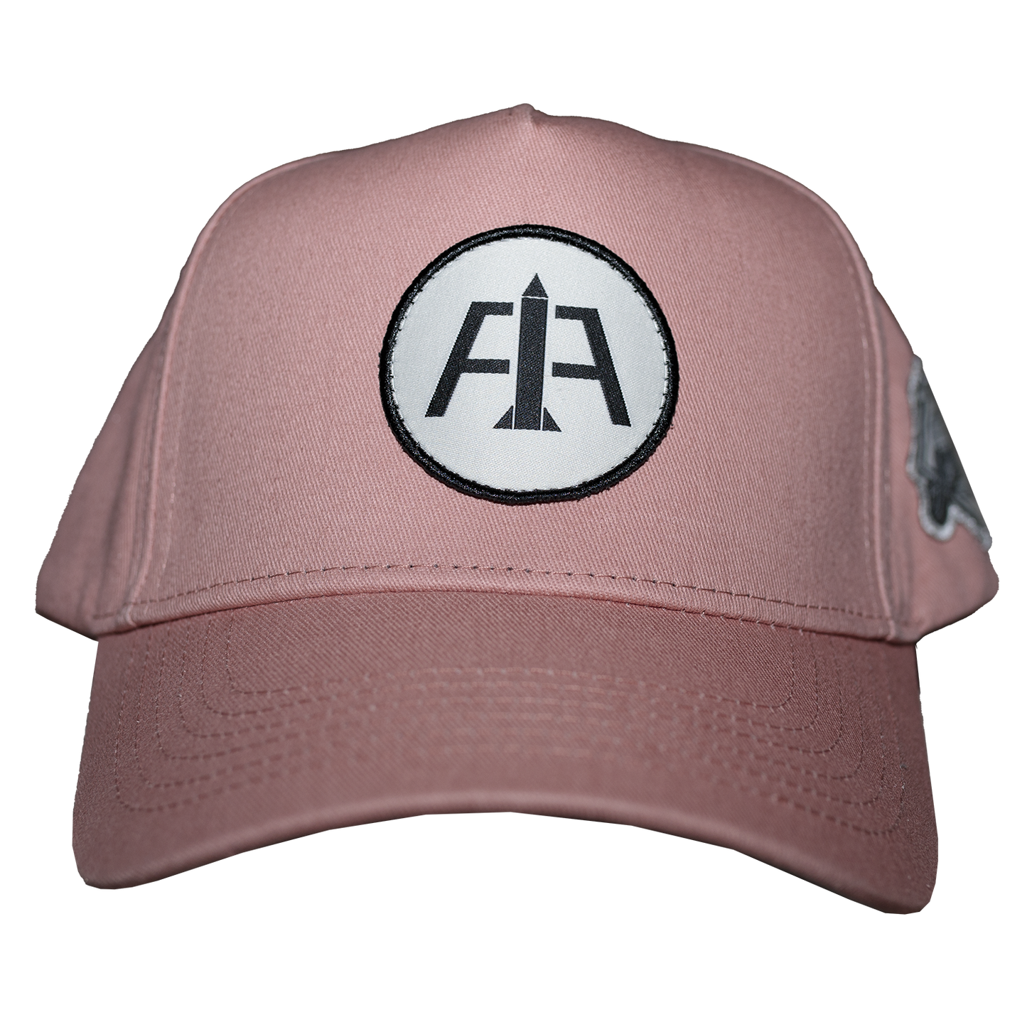 Salmon Aeronotiqz 2010 Snapback
