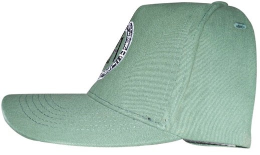 Forest Green Aero Logo Dad Hat