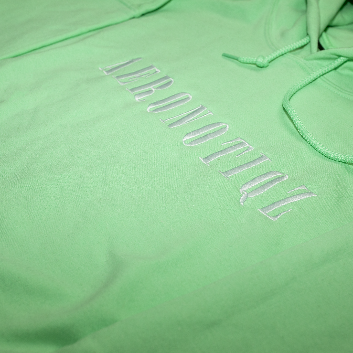 Mint Green Aeronotiqz Embroidered Hoodie