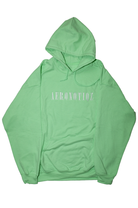 Mint Green Aeronotiqz Embroidered Hoodie